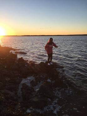 12309218_10153846545901995_2091956572_n