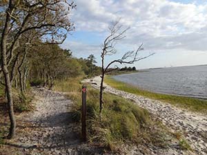 carolina beach state park