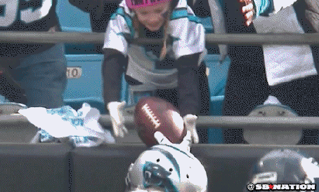 panthergif