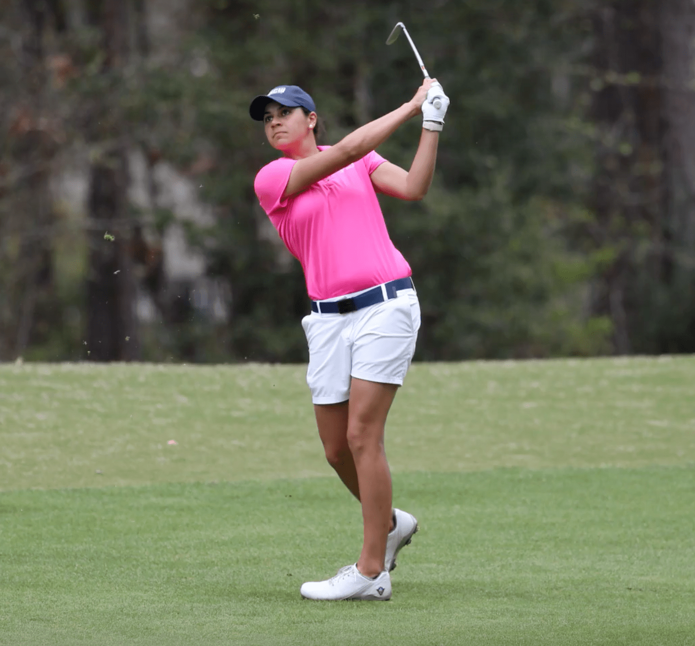 Screen Shot 2018-05-01 at 12.57.06 PM