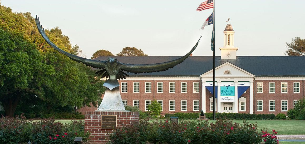 uncw seahawk