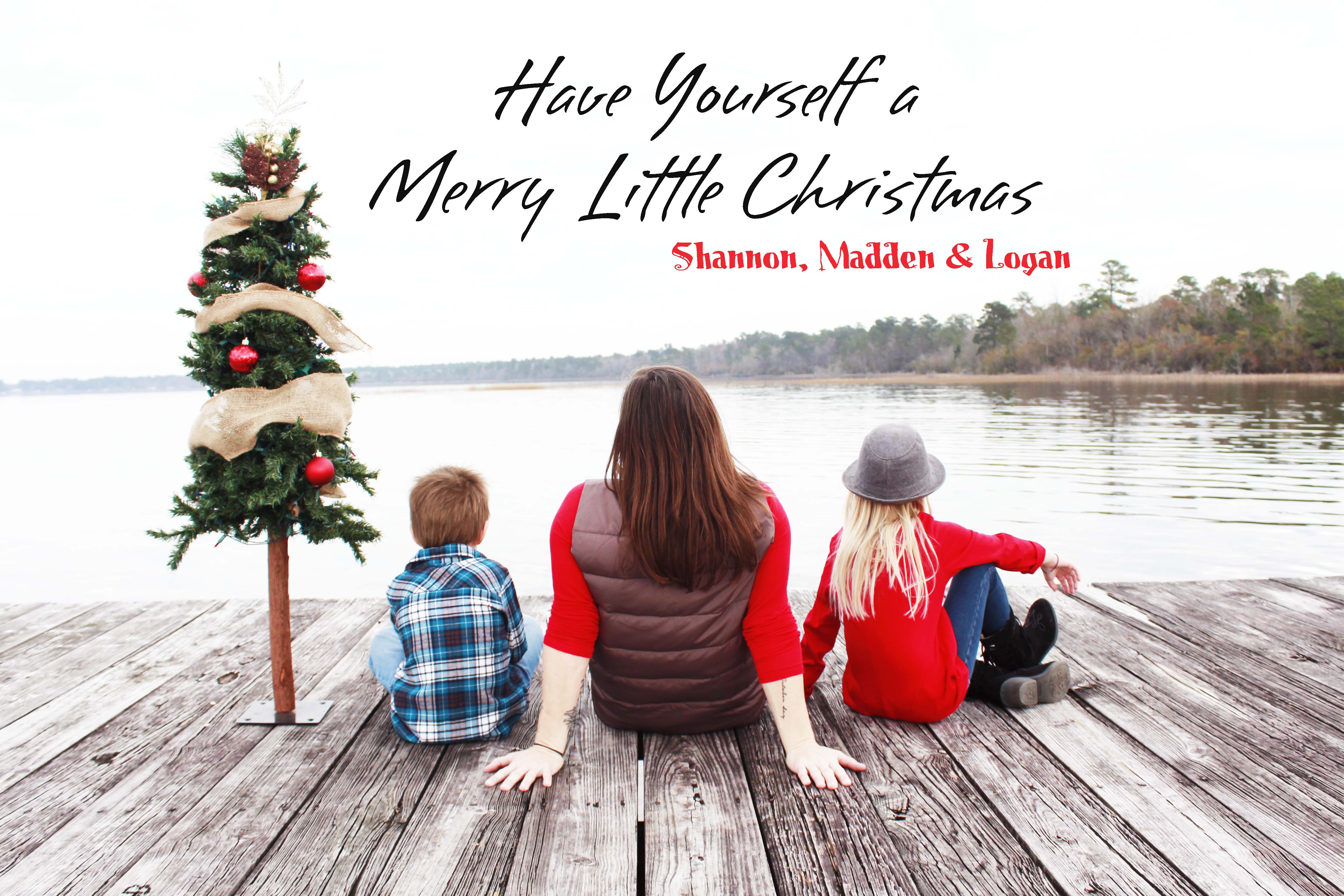 2017 family christmas cardsmall