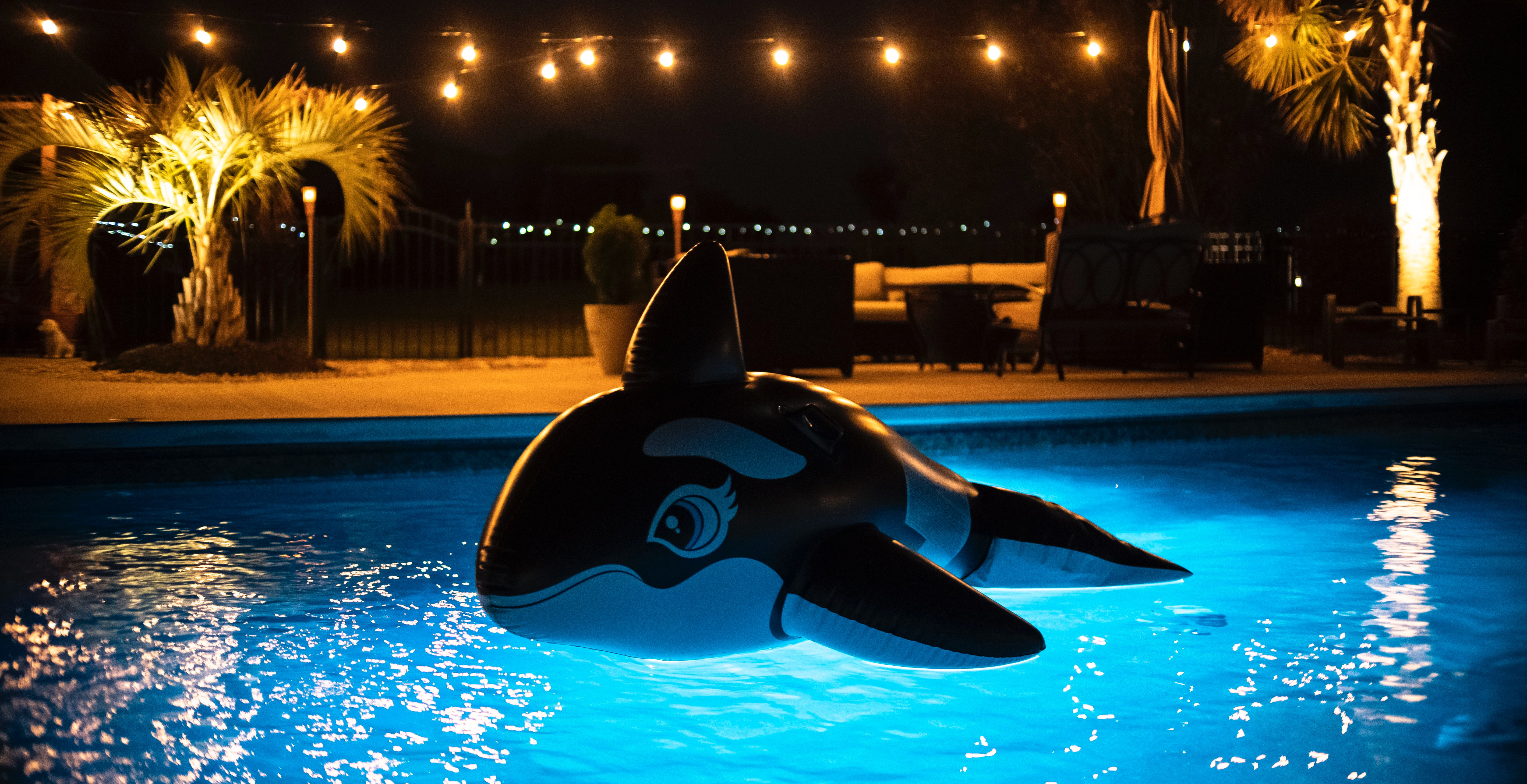 Photo by Trevor Kolman on Unsplash