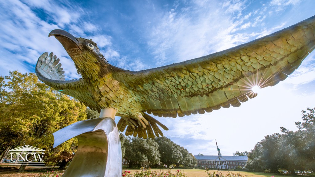 Being a Successful&nbsp;Seahawk